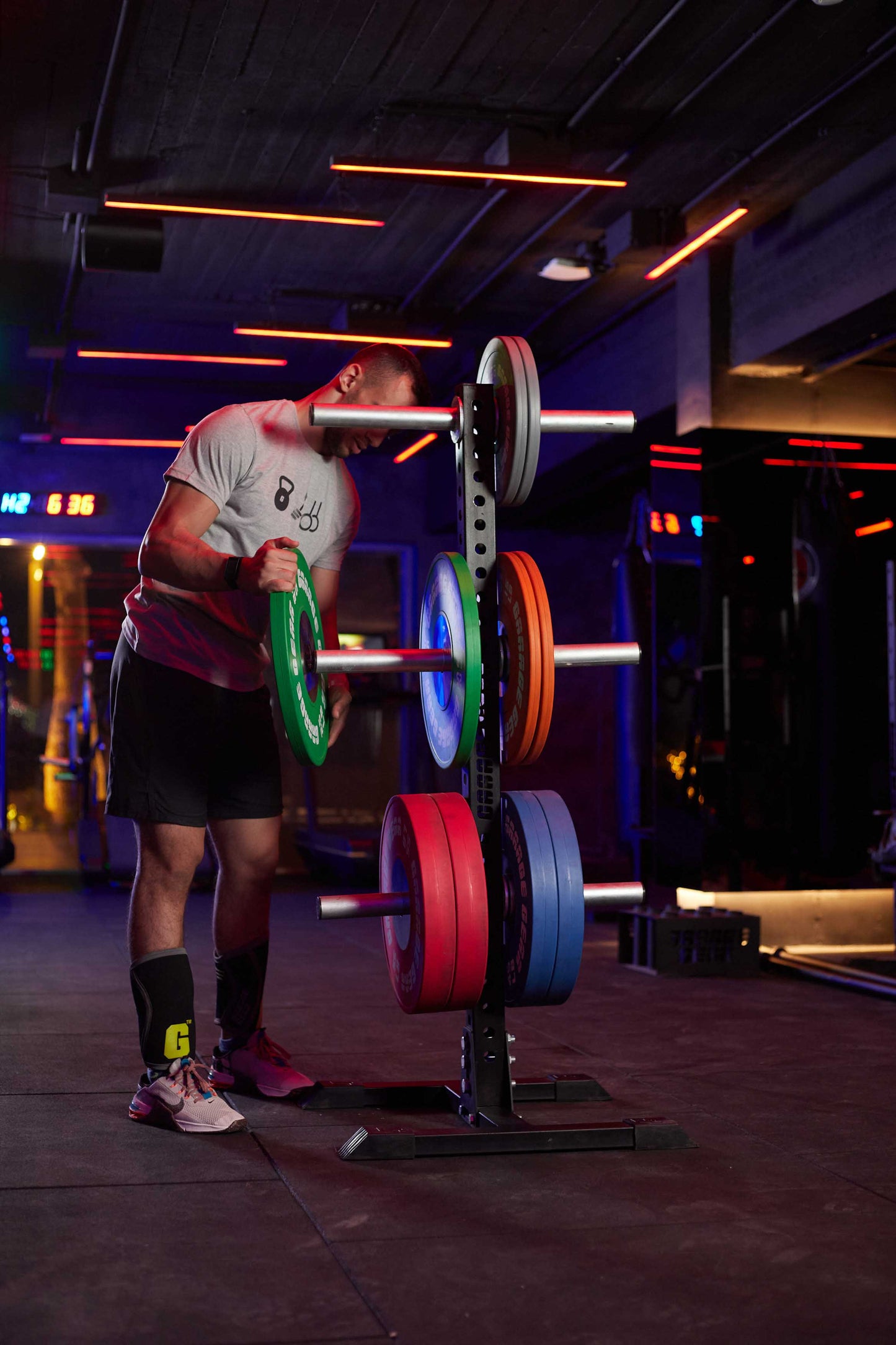 Garage Gear stand-alone unit for racking plates in the original tree design.